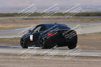 media/Oct-04-2025-OnGrid (Sat) [[44bd565ffa]]/Pink Group/Grapevine/